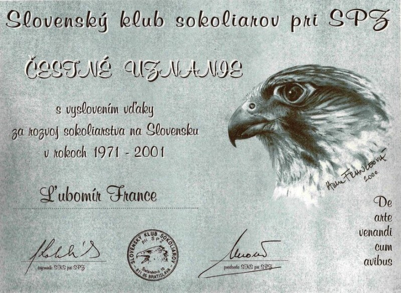 Výtvarný návrh